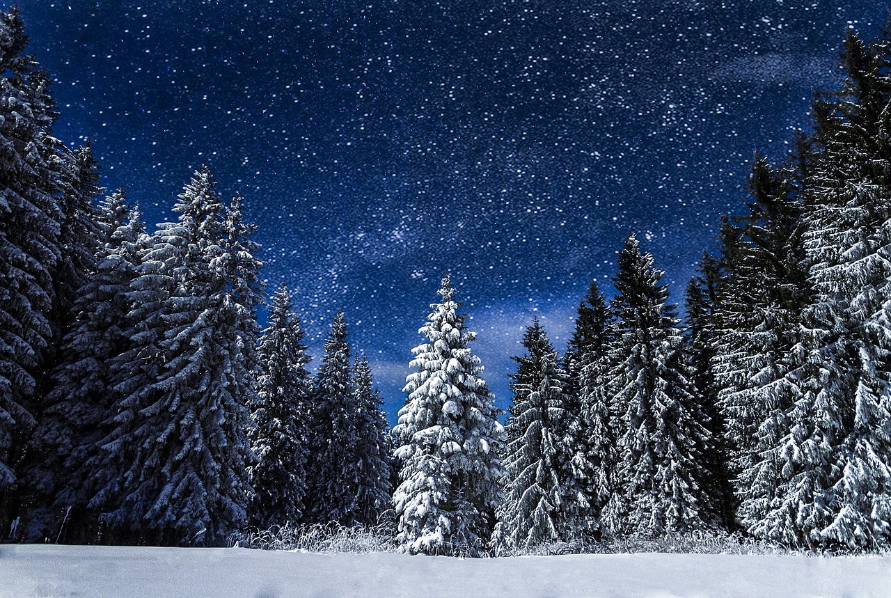 How to Paint a Snowy Winter Landscape